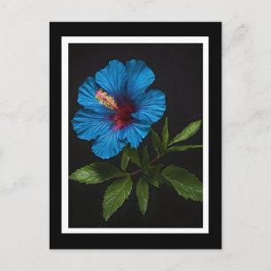 Postal Flor de Hibisco Azul Sobre Negro, 