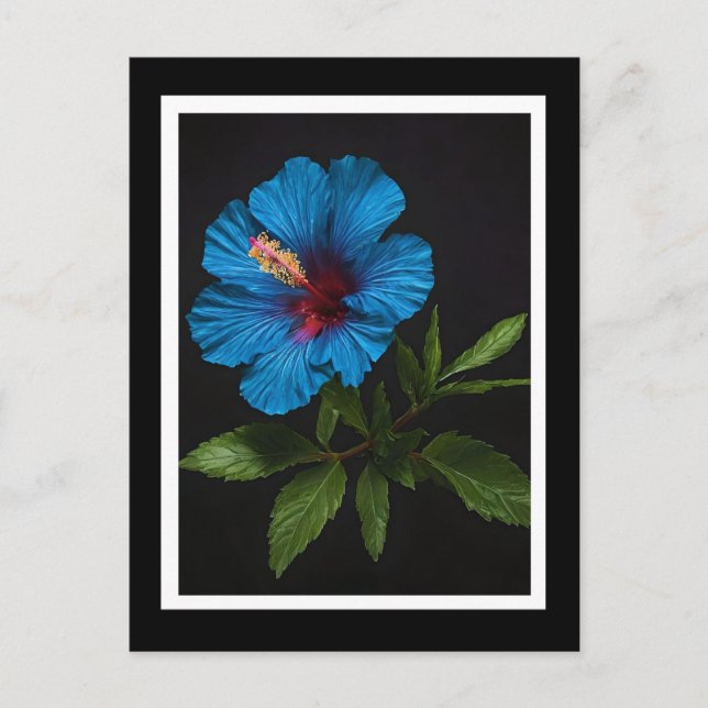 Postal Flor de Hibisco Azul Sobre Negro,  (Anverso)