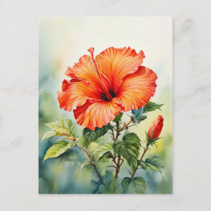 Postal Flor de Hibisco Naranja Acuarela con Mensaje Perso