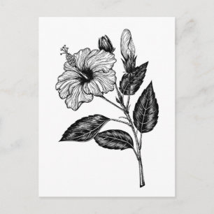 Postal Flor de Hibiscus III