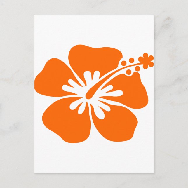 Postal flor de hibiscus naranja (Anverso)