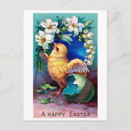 Postal Flor de huevo de pollo de Pascua