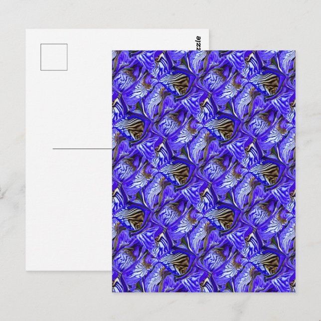 Postal Flor de iris púrpura / inclinada / cubierta / (Anverso / Reverso)