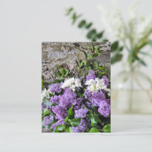 POSTAL FLOR DE JARDÍN