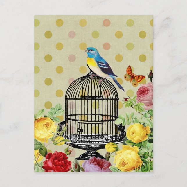 Postal Flor de jaula de aves (Anverso)