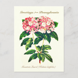 Postal Flor de Laurel Botánico Vintage