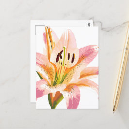 Postal Flor de lirio rosa | Pintura floral de acuarela
