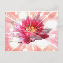 Postal flor de loto rosa