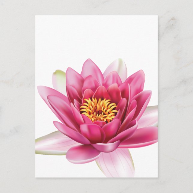 Postal Flor de Lotus (Anverso)