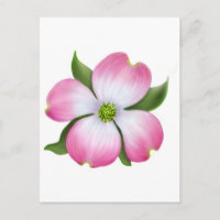Flor de madera rosa