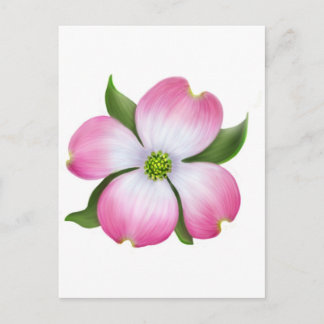 Postal Flor de madera rosa