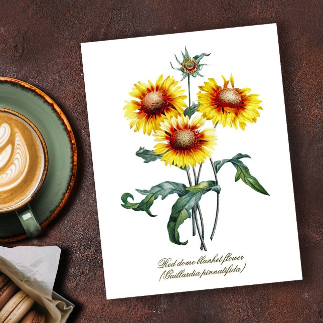 Postal Flor de manta botánica de época elegante (Subido por el creador)