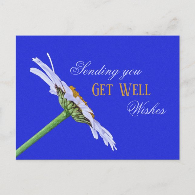 Postal Flor de margarita única en lienzo (Anverso)