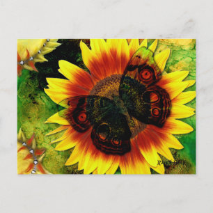 Postal Flor de mariposa