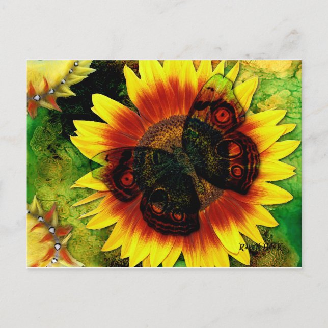 Postal Flor de mariposa (Anverso)