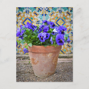 Postal Flor de morado de pansitas