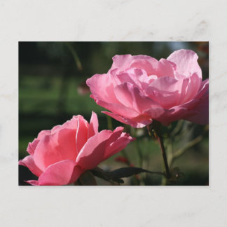 Postal Flor de nacimiento - JUNIO - Rosa