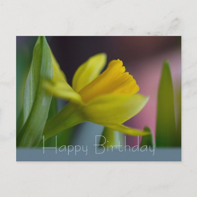 Postal Flor de narciso amarillo CC0742 Feliz cumpleaños (Anverso)