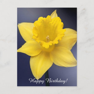 Postal Flor de Narciso Amarillo pintura acuarela floral