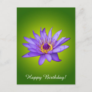 Postal Flor de Nenúfar Estanque Acuático Flor de Agua Púr