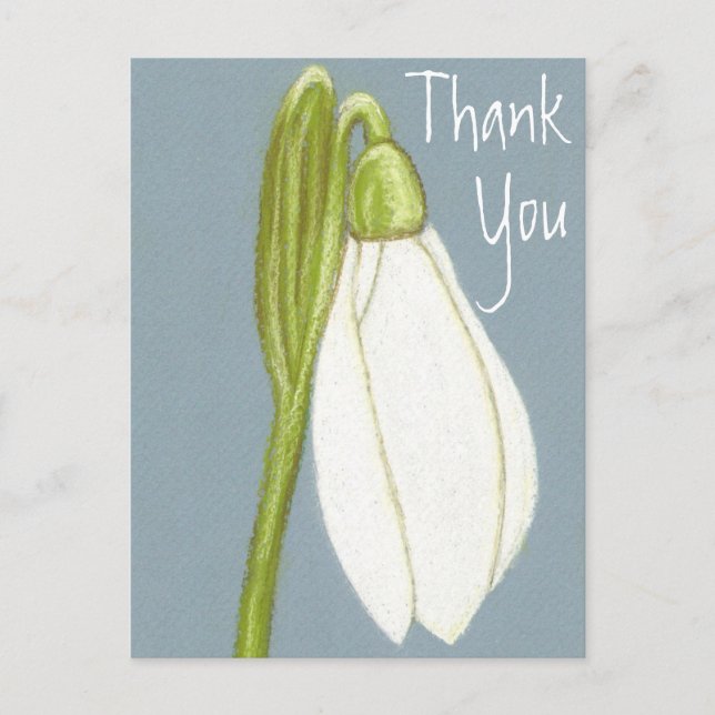Postal Flor De Nieve Gracias Postcard (Anverso)