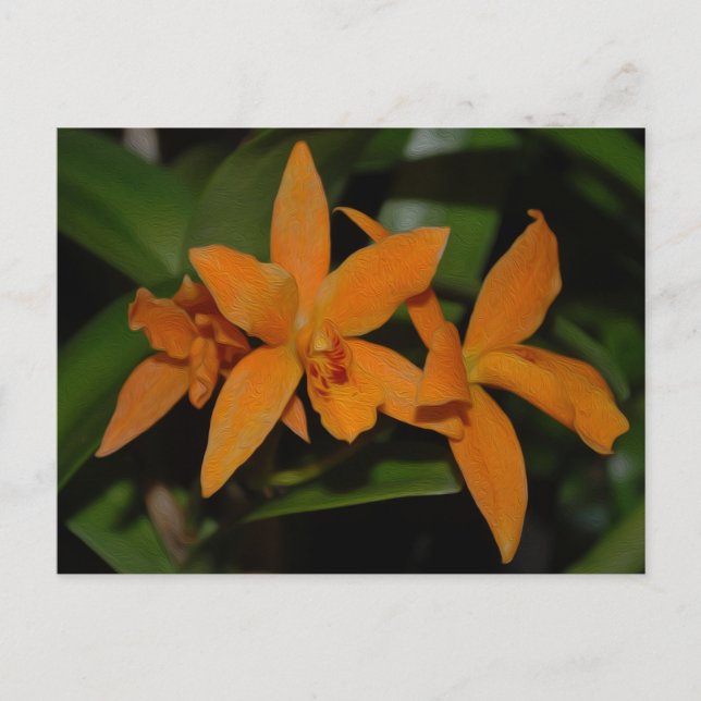 Postal Flor de orquídea de cattleya naranja tropical (Anverso)