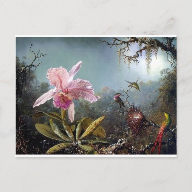 Postal Flor de orquídea Hummingbird (Anverso)