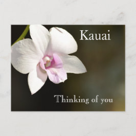 Postal Flor de orquídea rosa blanca Kauai, Hawaii