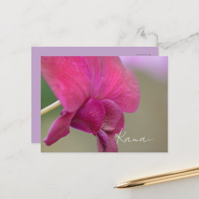 Postal Flor de orquídea rosa Kauai (Anverso/Reverso In Situ)