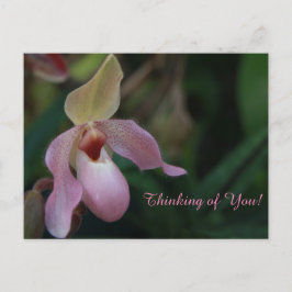 Postal Flor de orquídeas de dama rosa
