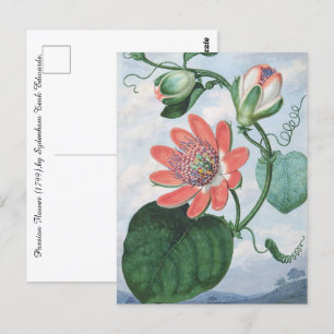 Postal Flor de pasión (1799), por Sydenham Teak Edwards.