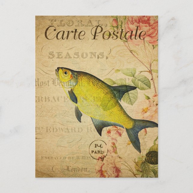 Postal Flor de pescado fresco amarillo vintage Francés (Anverso)