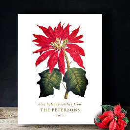 Postal Flor de poinsettia botánica de época elegante