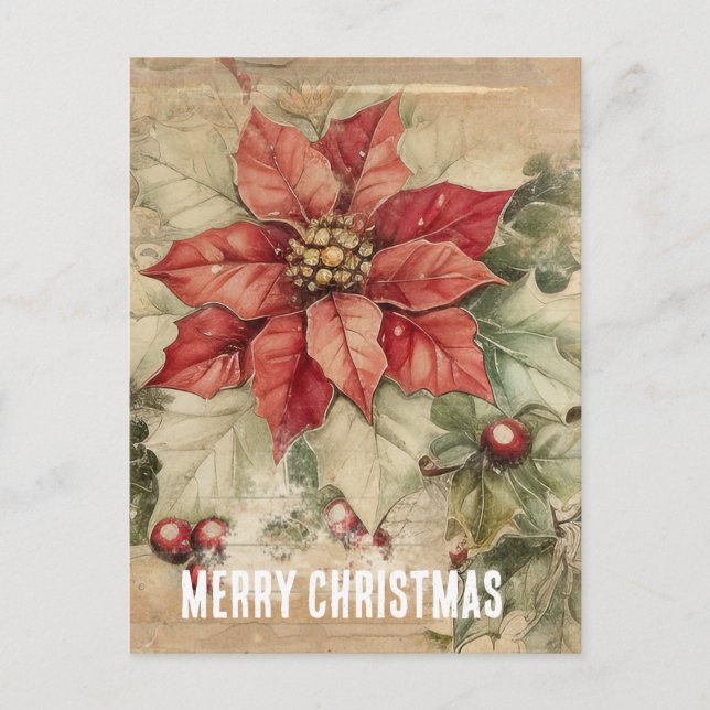 Postal Flor de poinsettia de Navidad vintage (Anverso)