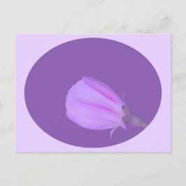 Postal Flor de primavera rosa y morada