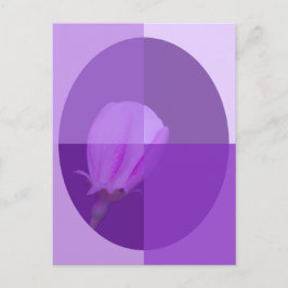 Postal Flor de primavera rosa y morada | Cuatro sombras