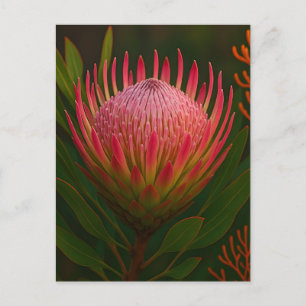 Postal Flor de Protea Rosa Exótica en Flor