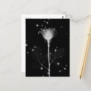Postal Flor de rayo X espumoso - B&W