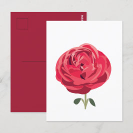 Postal Flor de Rosa Roja Rosa Floral