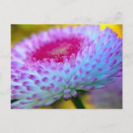 Postal Flor de sangre