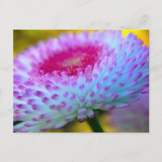 Postal Flor de sangre