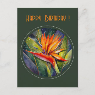 Postal Flor de Strelizia Pintada EVE