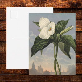 Postal Flor de Trillium Blanca en estilo Temple of Flora
