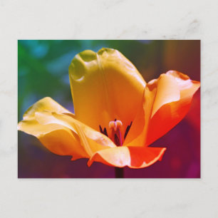 Postal Flor de tulipán amarillo