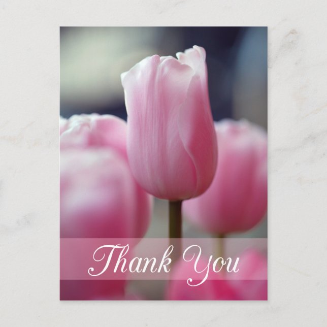 Postal Flor de tulipano rosa primavera boda de agradecimi (Anverso)