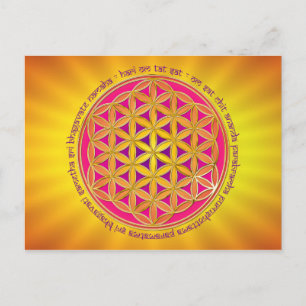 Postal Flor De Vida / Moola Mantra