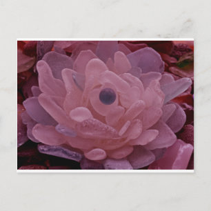 Postal Flor de vidrio rosa y morado
