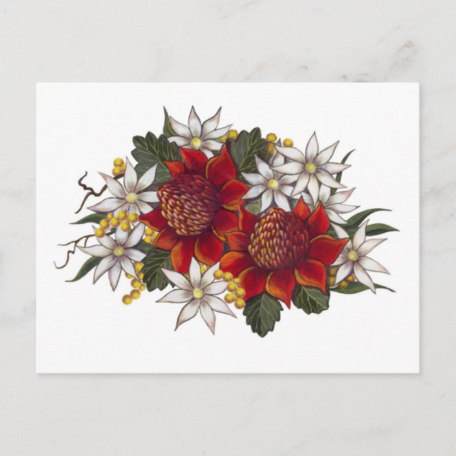 Postal Flor de Warratha Flannel (Anverso)