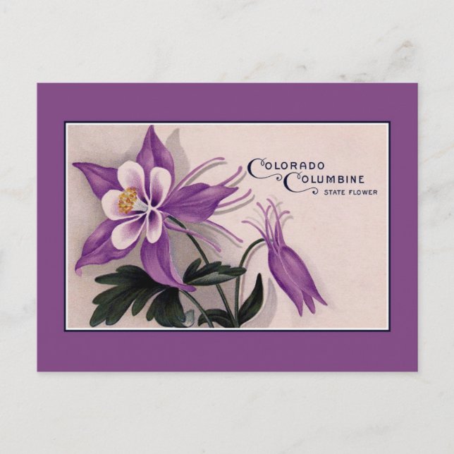 Postal Flor del Estado de Colorado, Columbine (Anverso)