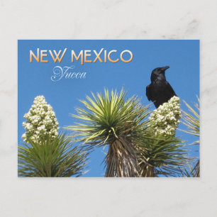 Postal Flor del estado de Nuevo México: Flor Yucca